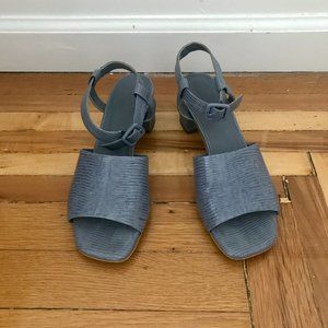 Everlane- Block Heel Sandal in Blue Lizard Size 7
